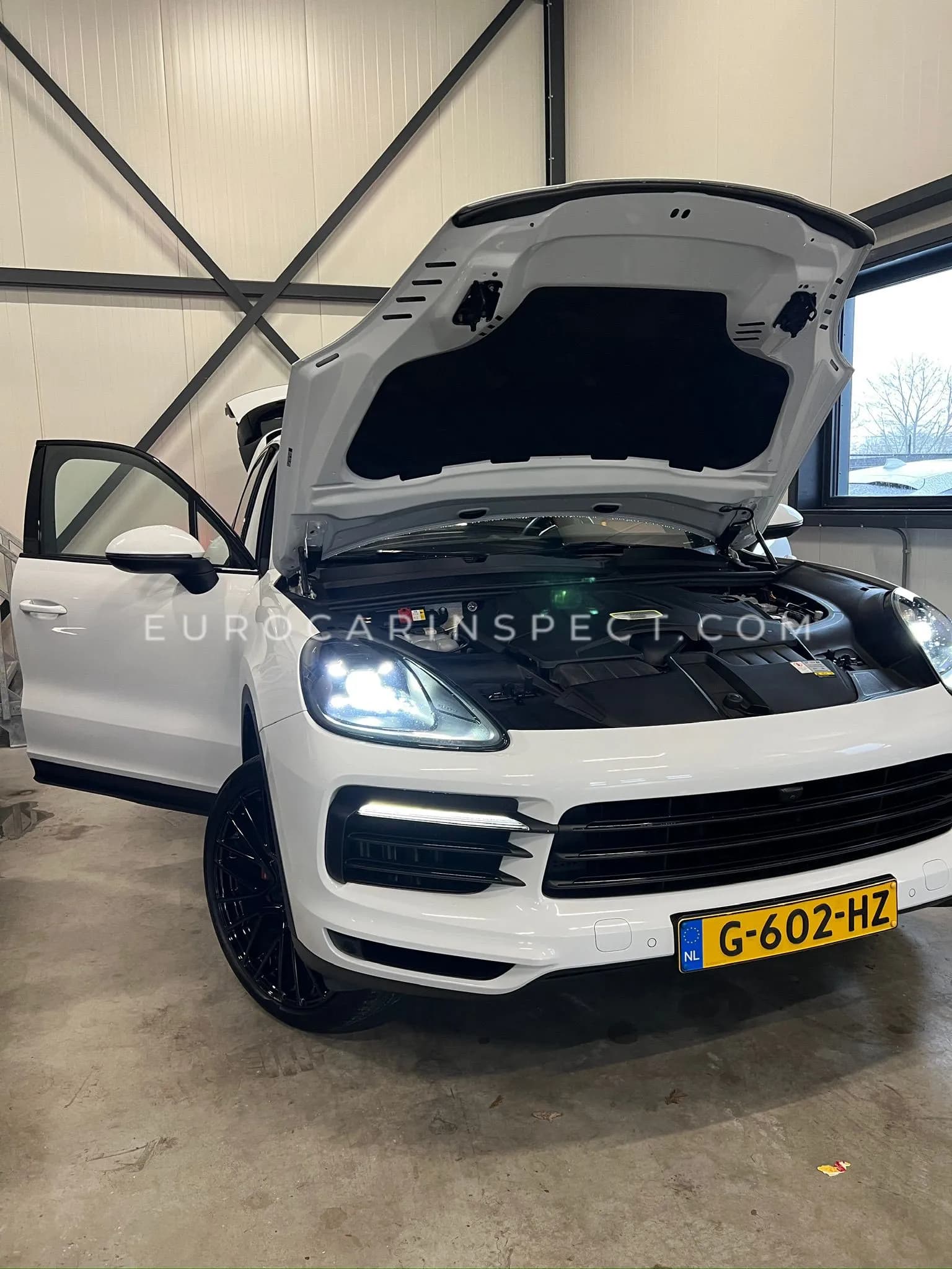 Euro Car Inspect | Gebrauchtwagen-Prüfung & Auto-Import Deutschland - Suchen Sie ein Fahrzeug? (1)